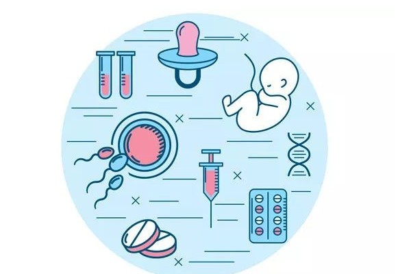 试管自然周期未排卵是否可以移植胚胎吗