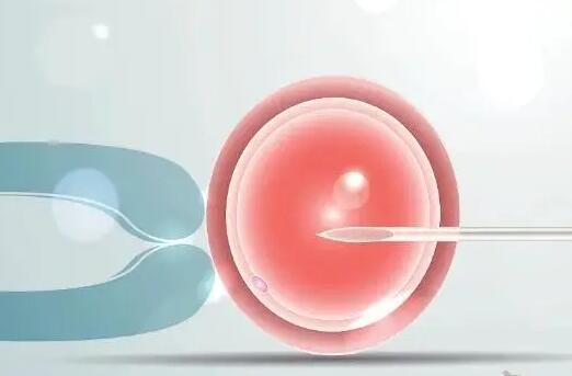 试管婴儿想要提高卵子质量是否要吃DHEA辅助