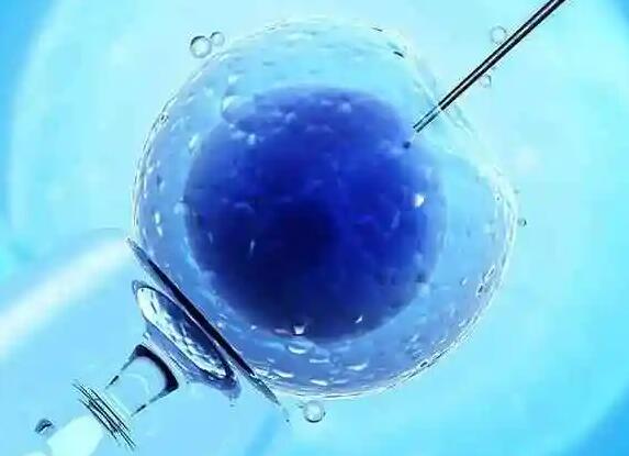 移植前为什么要冲洗宫腔，改善环境利于胚胎着床