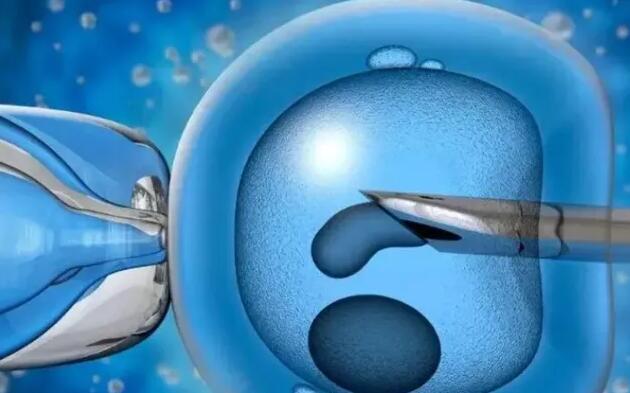 试管婴儿移植冻胚不打降调针了解不打降调针移植冻胚的风险