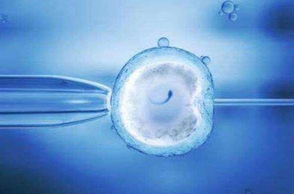 使用冷冻的卵子做第一代试管婴儿的成功率高不高