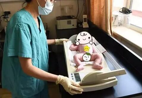 中国去美国做试管婴儿助孕攻略,5分钟看完行程规划