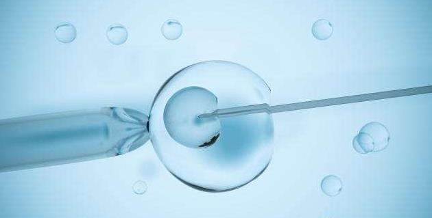 试管多精受精卵能否用别还不造强行移植后果严重要注意